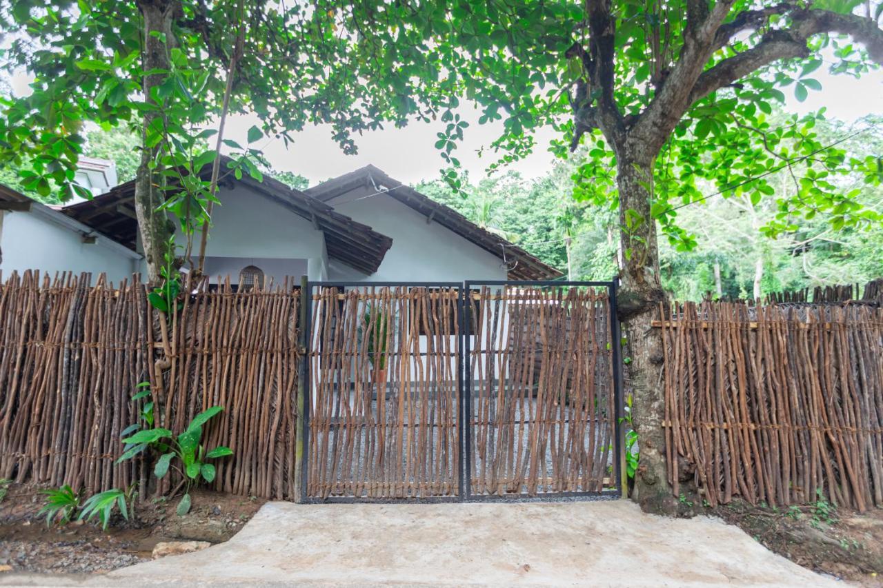 Coconut - Hiriketiya Villa