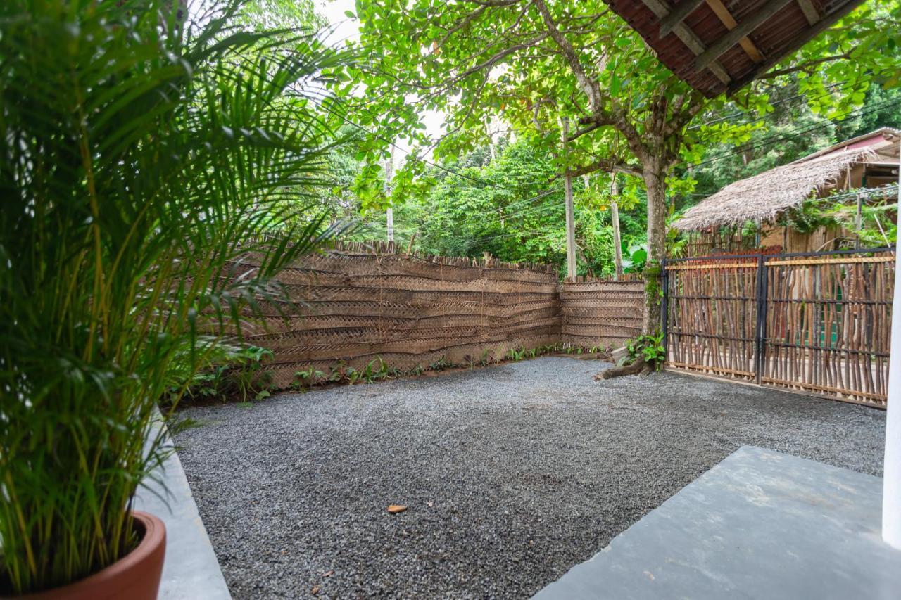 Coconut - Hiriketiya Villa Dickwella