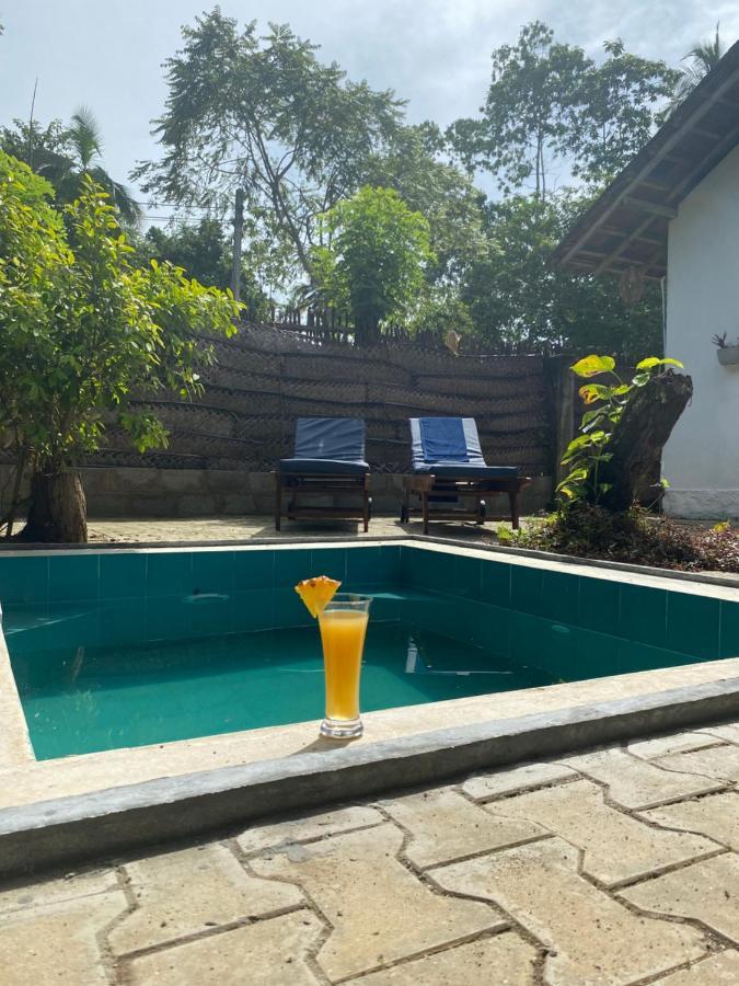 Coconut - Hiriketiya Villa Dickwella